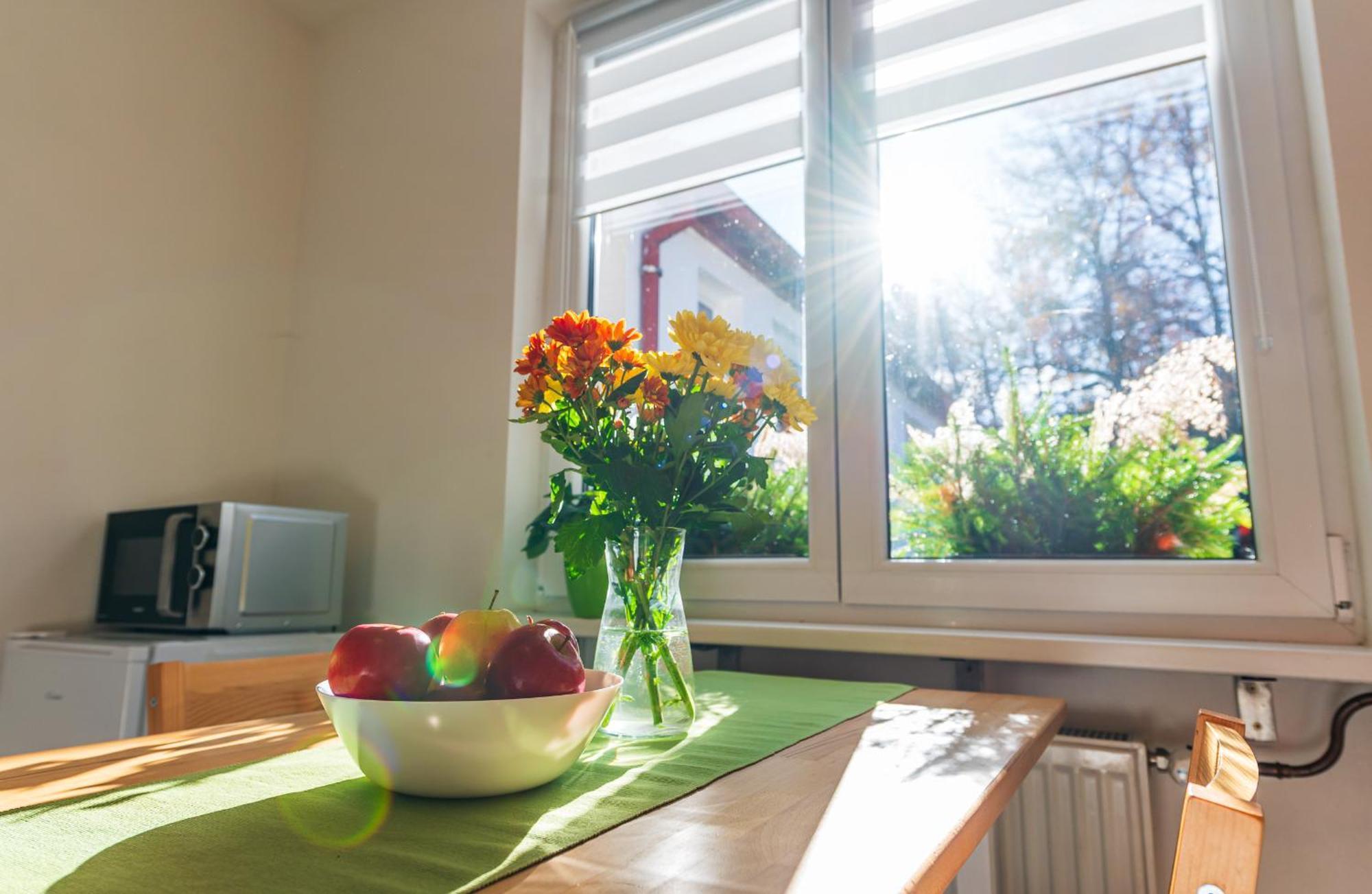 Ubytovani Na Samote - Apartman U Tesaru Komarice Ngoại thất bức ảnh