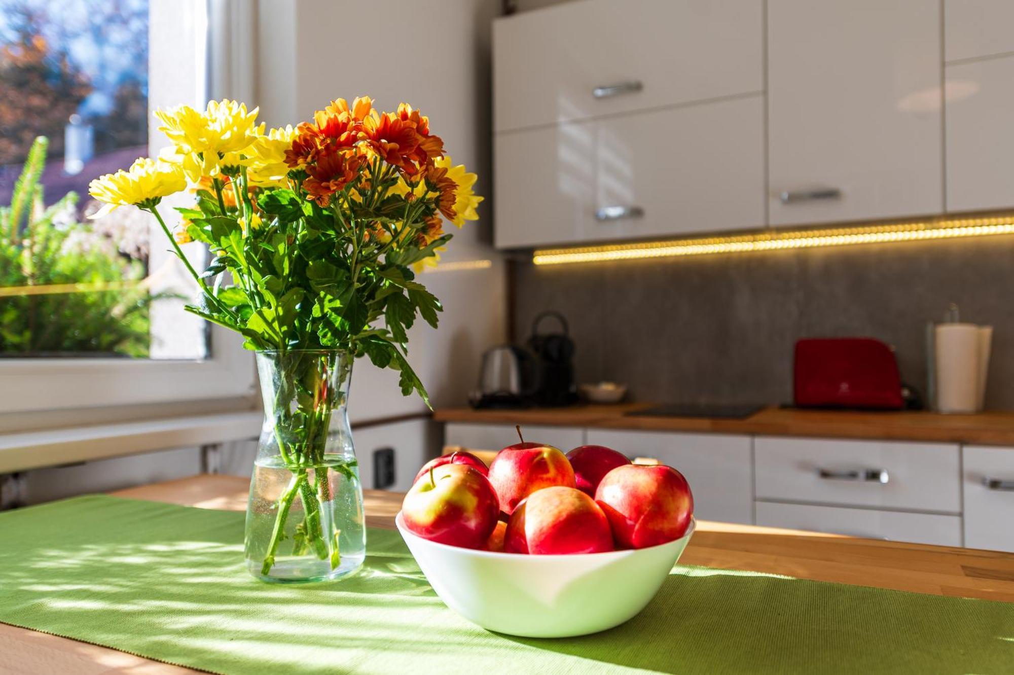 Ubytovani Na Samote - Apartman U Tesaru Komarice Ngoại thất bức ảnh